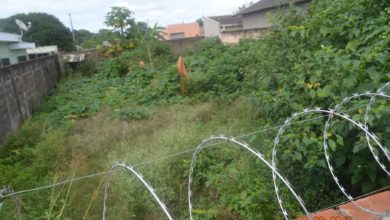 Photo of IPTU progressivo e multas pesadas são a solução para acabar com o sofrimento de vizinhos de terrenos baldios