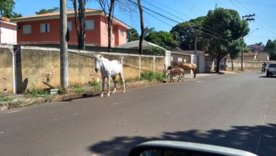 Photo of ATENÇÃO MOTORISTAS