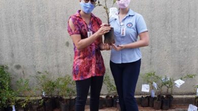 Photo of Em parceria com Viveiro Municipal, Hospital e Maternidade Santa Isabel distribui mudas de frutíferas para celebrar Mês da Mulher