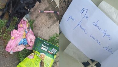Photo of Família adota cadela abandonada com ração e pedido de desculpas em bilhete: ‘Meu coração ficou pequenininho’, diz dona