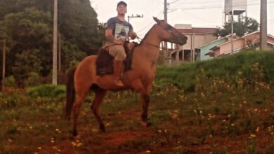 Photo of Vídeo de ‘delivery com égua’ que viralizou em SC foi feito para criticar alta no preço de combustíveis